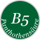 Vitamin B5 Panthothensäure Logo