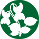 Stiefmuetterchen Logo